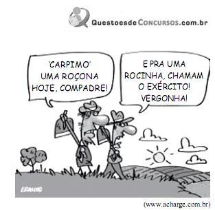 Imagem 008.jpg