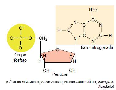 Imagem associada para resolução da questão
